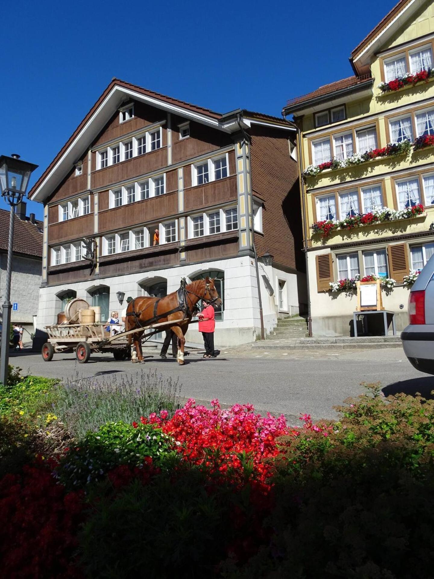 Alpen-Paradies Edelweiss Urnäsch المظهر الخارجي الصورة